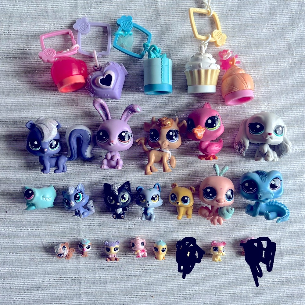 Assorted Littlest Pet Shop and Accessories